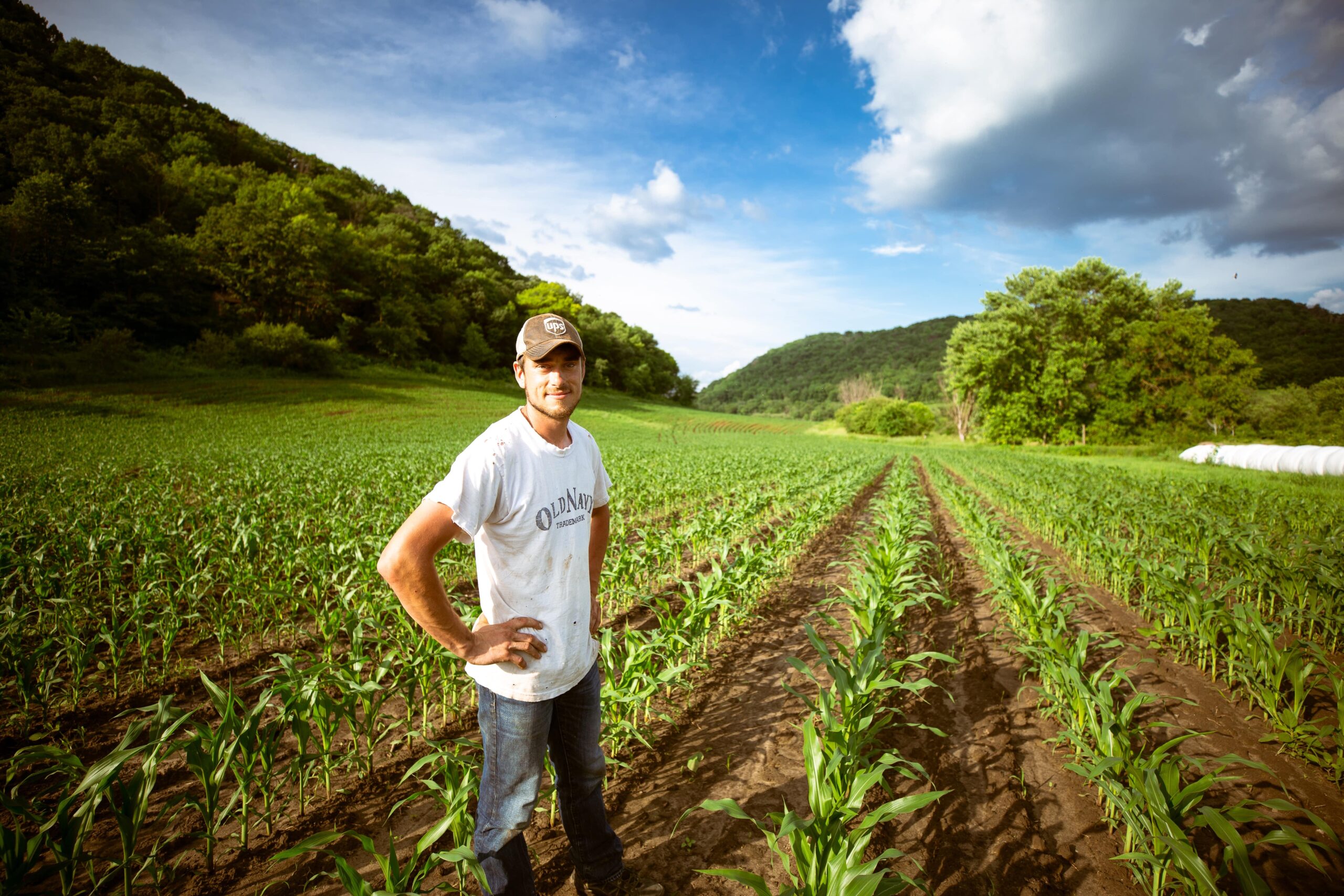 Como Pagar Menos Imposto Sendo Produtor Rural